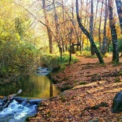 Casa La Vega Vendégház El Bosque Kültér fotó