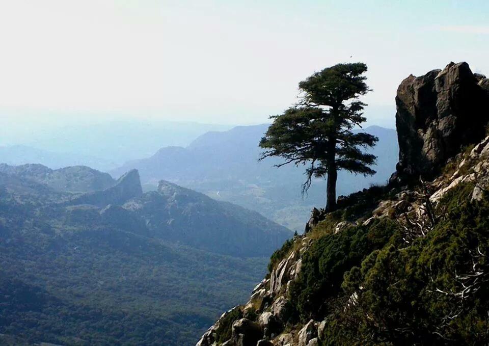 Casa La Vega Vendégház El Bosque Kültér fotó